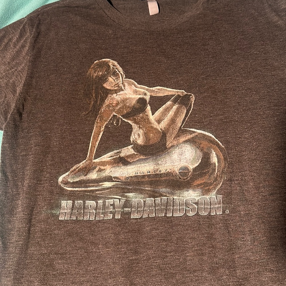 Medium Harley Davidson Hampton Roads tee